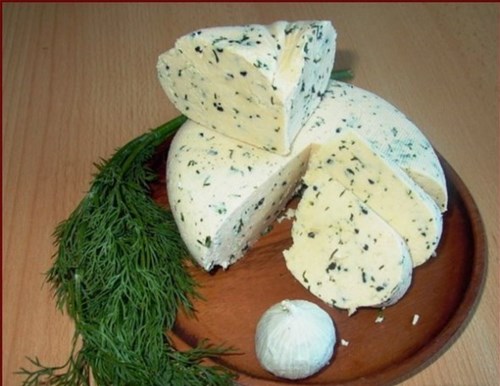 Домашний сыр с зеленью и тмином фото