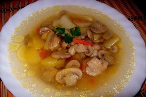 Суп грибной из шампиньонов фото